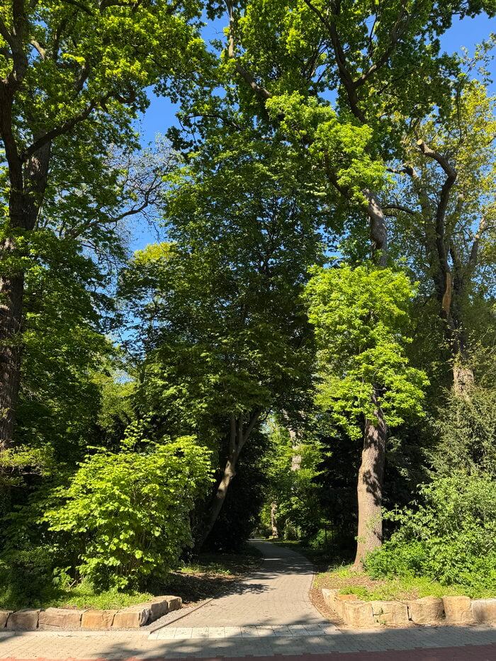 Das Fischerglacis als Teilbereich des Mindener Glacis' wurde im Jahr 2025 neu gestaltet und deutlich aufgewertet. Foto: Hans-Jürgen Amtage