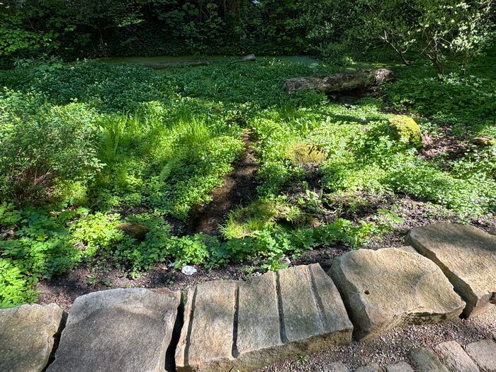 Die Marienquelle speist den ehemaligen Gesundbrunnen im Mindener Glacis. Die Freilegung erfolgte im Rahmen der Neugestaltung des Fischerglacis' im Jahr 2025. Foto: Hans-Jürgen Amtage